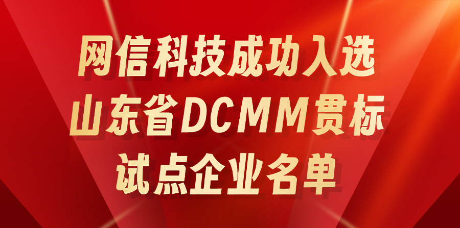 網(wǎng)信科技成功入選山東省DCMM貫標試點企業(yè)名單